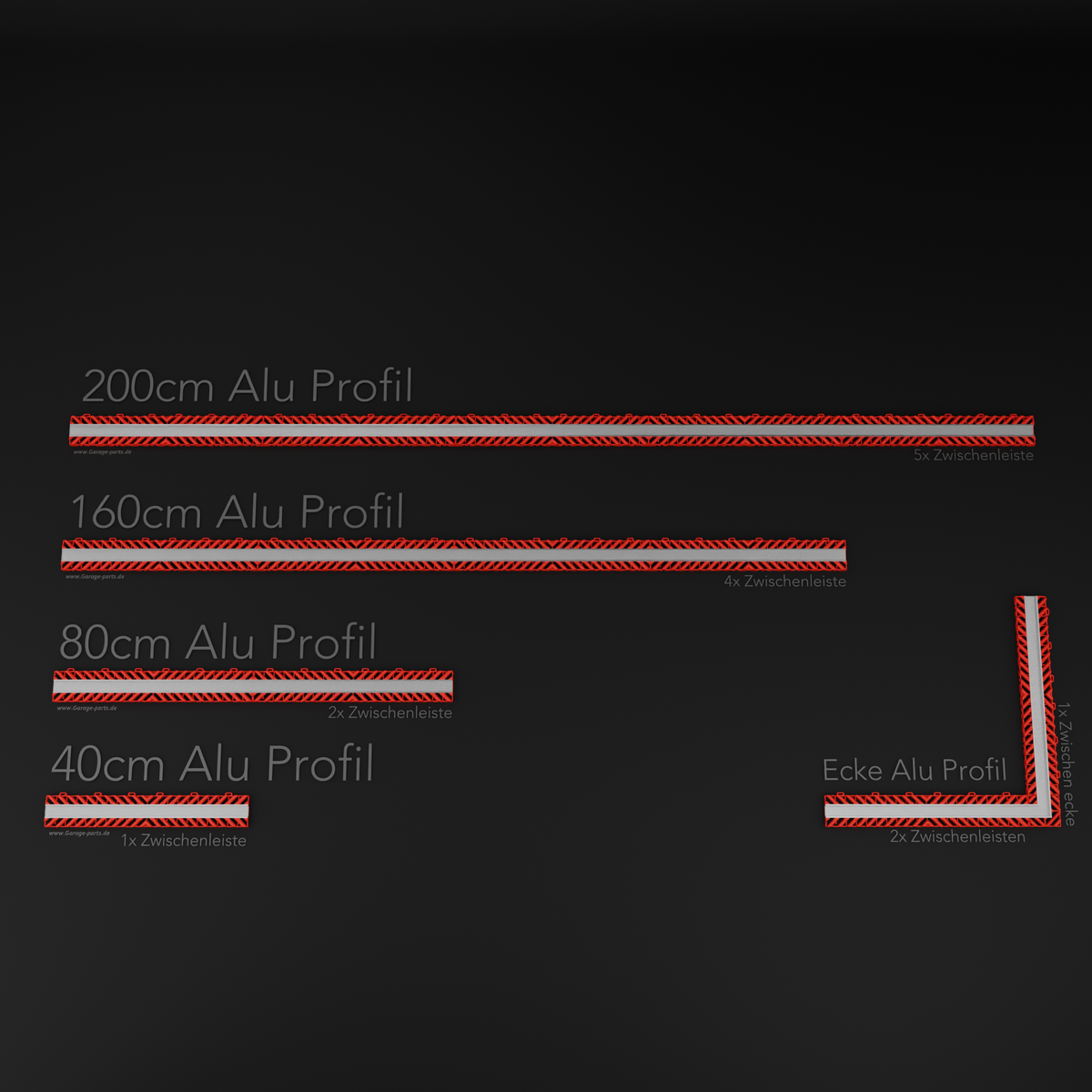 Robust 6x RACE 